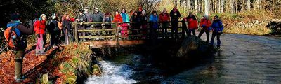 Ir a https://laescalerilla.com/rutas.php?id_ruta=231203_cascadas_lamina