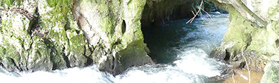 Ir a https://laescalerilla.com/proxima.php