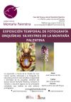  11516_1.jpg